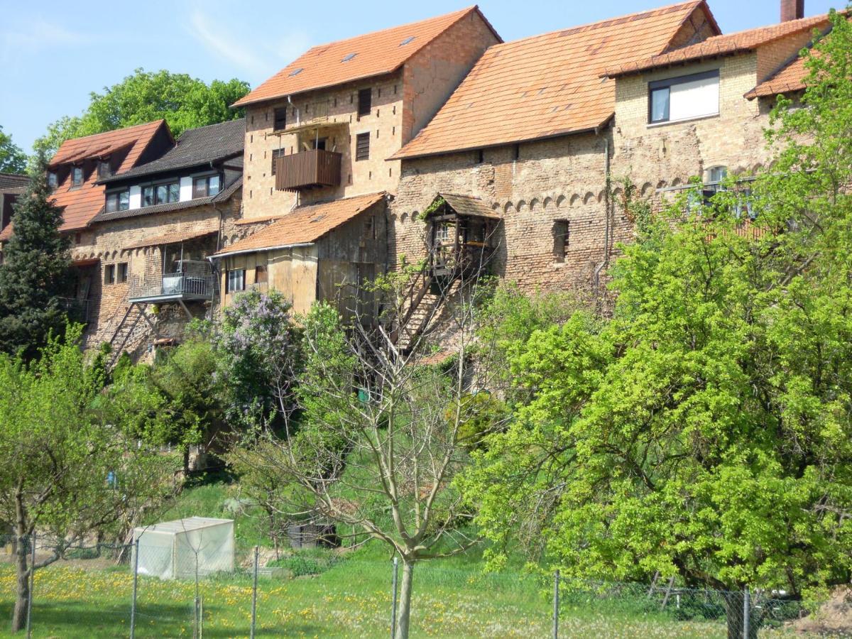 Gaestehaus Susanne Pfaffmann Ландау  Экстерьер фото